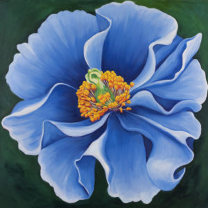 Himalayan Blue Poppy Oil on Canvas Painting 30" x 30"