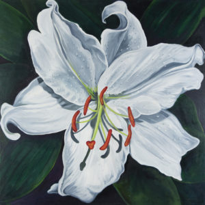 White Lily 36x36" Original Oil Painting