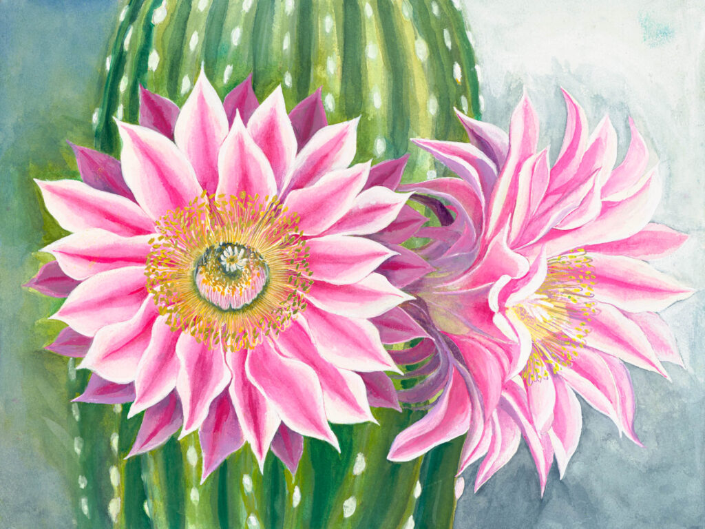 A painting of two pink flowers on top of a cactus.