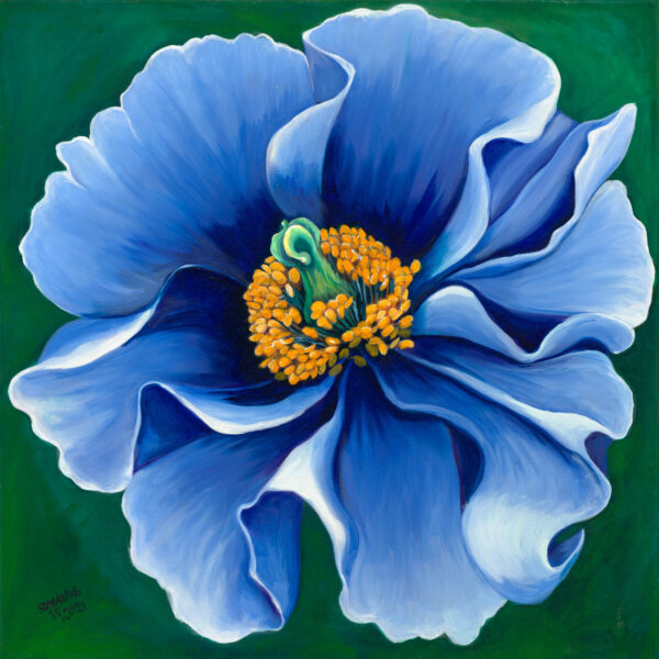 A blue flower with yellow center on green background.