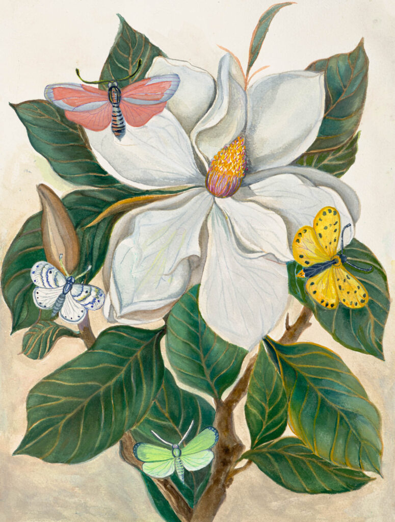 A painting of flowers and butterflies on a tree.