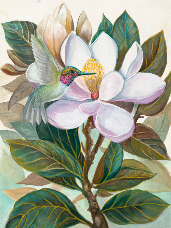 A painting of a hummingbird and magnolia flower.