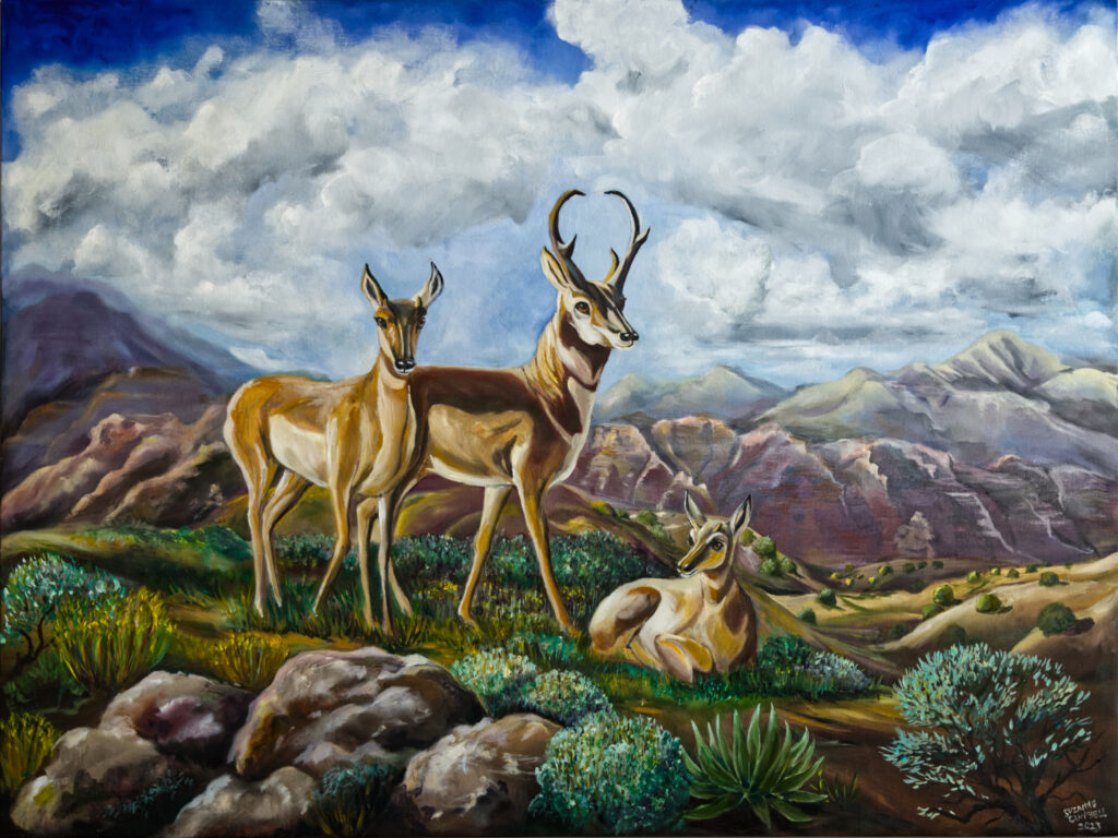 Two deer standing in a field with mountains and clouds