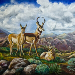 Two deer standing in a field with mountains and clouds