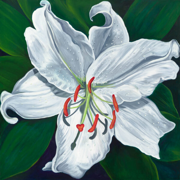 A painting of a white flower with red stamen.